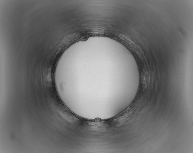 X0000110950516200907171631