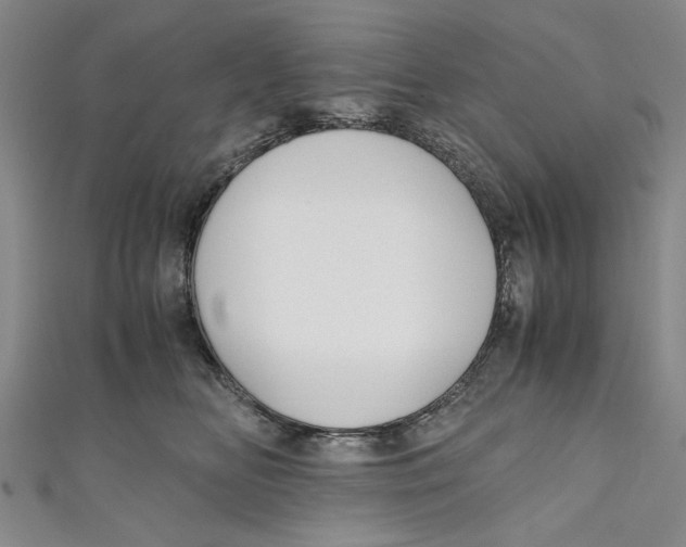 X0000110950518200907171631