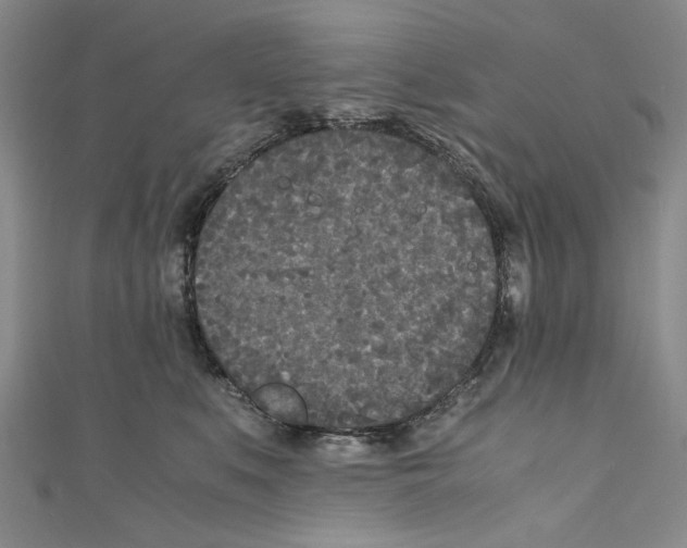 X0000110950519200907171631