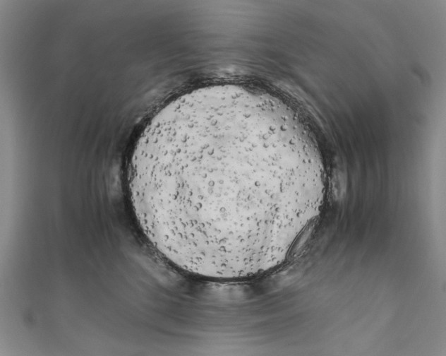 X0000110950520200907171631