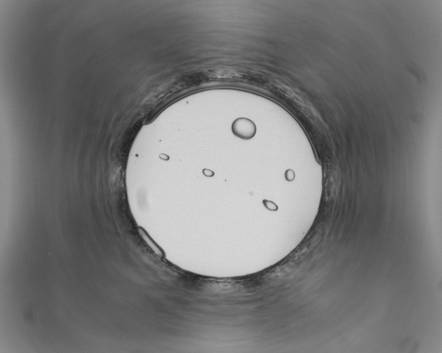 X0000110950521200907171631