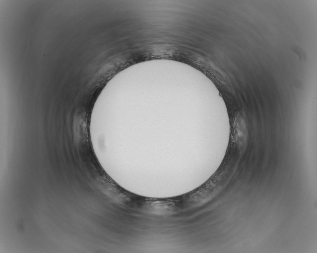 X0000110950522200907171631