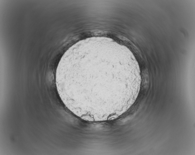 X0000110950523200907171631