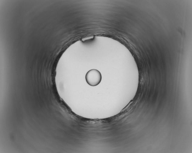 X0000110950524200907171631