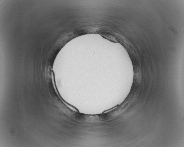 X0000110950525200907171631