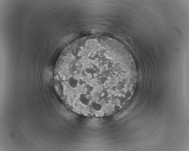 X0000110950527200907171631