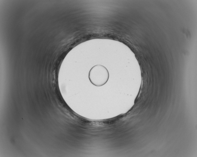 X0000110950528200907171631