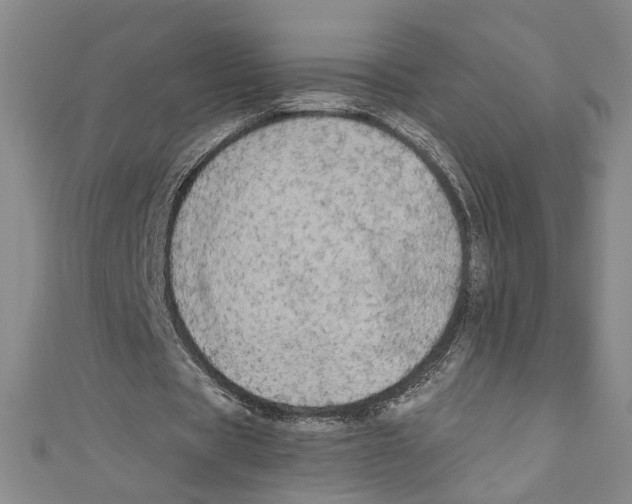 X0000110950529200907171630