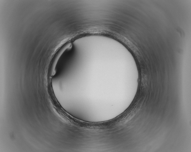 X0000110950530200907171630