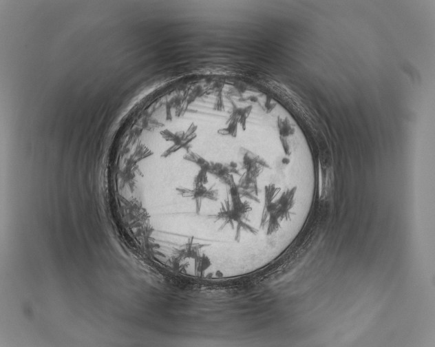 X0000110950531200907171630