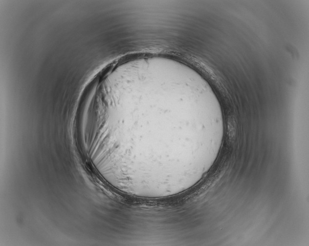 X0000110950532200907171630