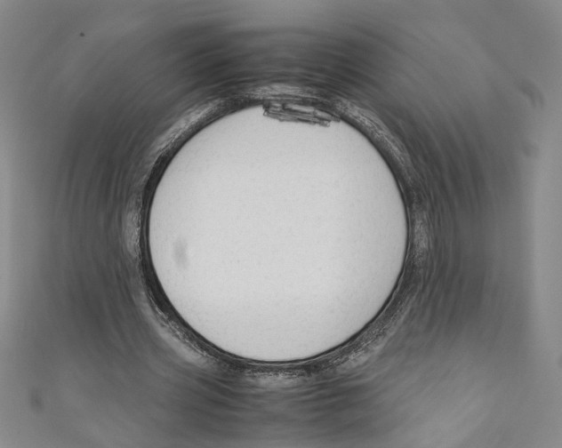 X0000110950533200907171630