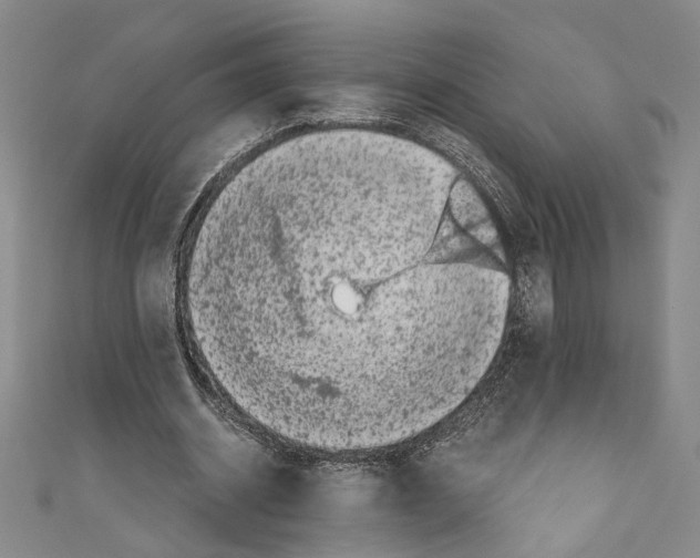 X0000110950534200907171630