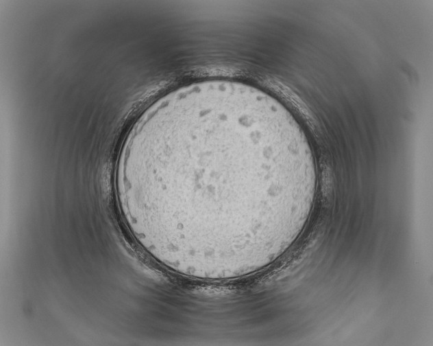 X0000110950537200907171630