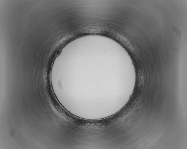 X0000110950538200907171630