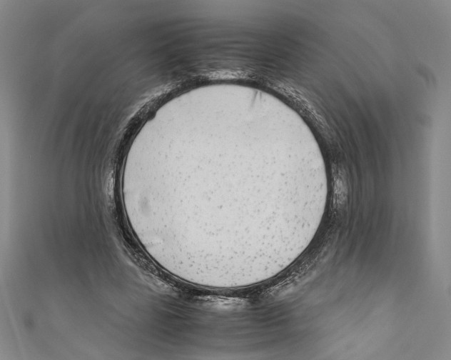 X0000110950539200907171630