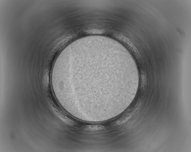 X0000110950541200907171630
