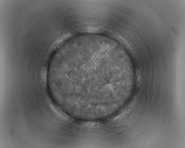 X0000110950542200907171630