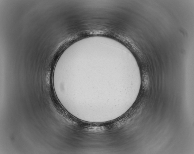 X0000110950543200907171630