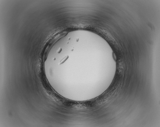 X0000110950544200907171630