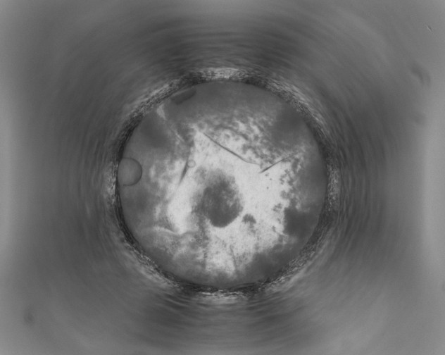 X0000110950545200907171630