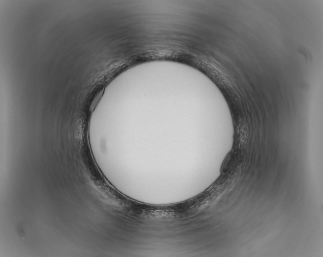 X0000110950546200907171630