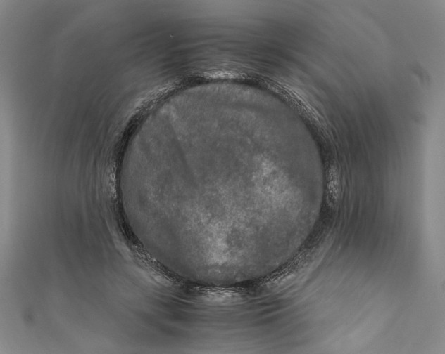 X0000110950547200907171630