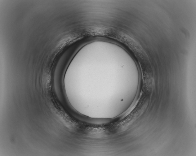 X0000110950548200907171630