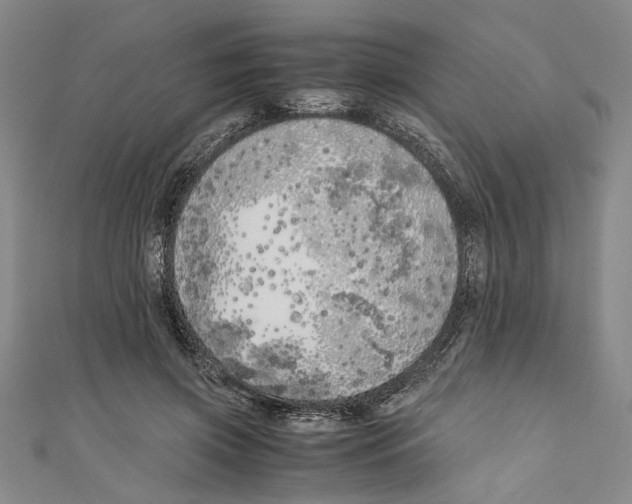 X0000110950549200907171630
