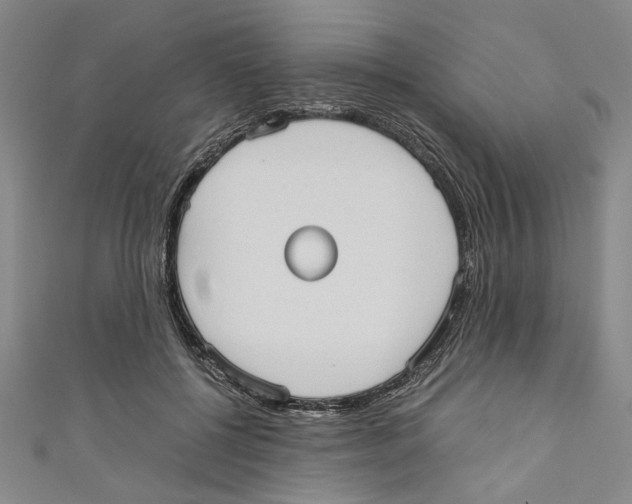 X0000110950552200907171631