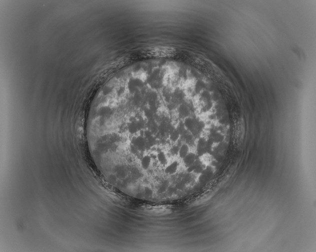 X0000110950553200907171631