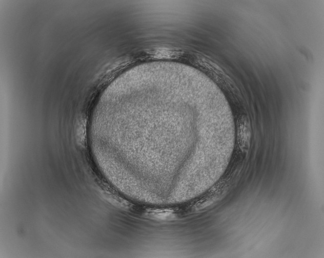 X0000110950554200907171631