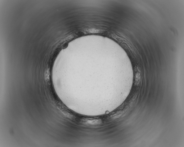 X0000110950555200907171631