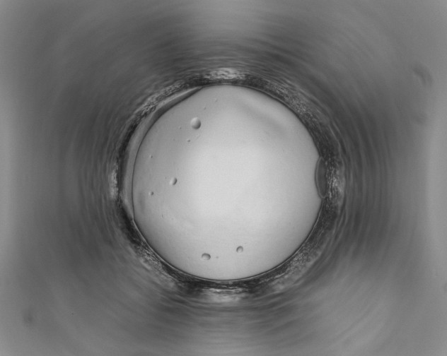 X0000110950556200907171631