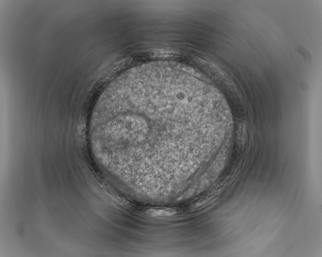 X0000110950557200907171631