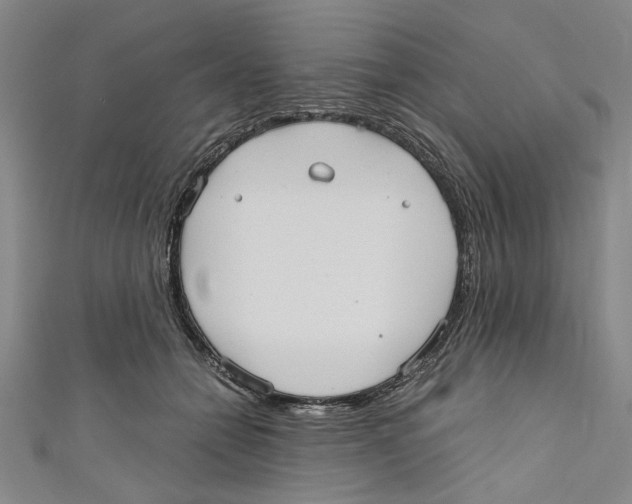 X0000110950558200907171631