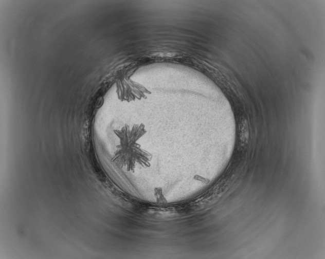 X0000110950559200907171631