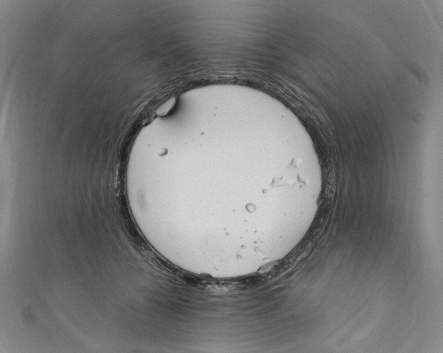 X0000110950560200907171631