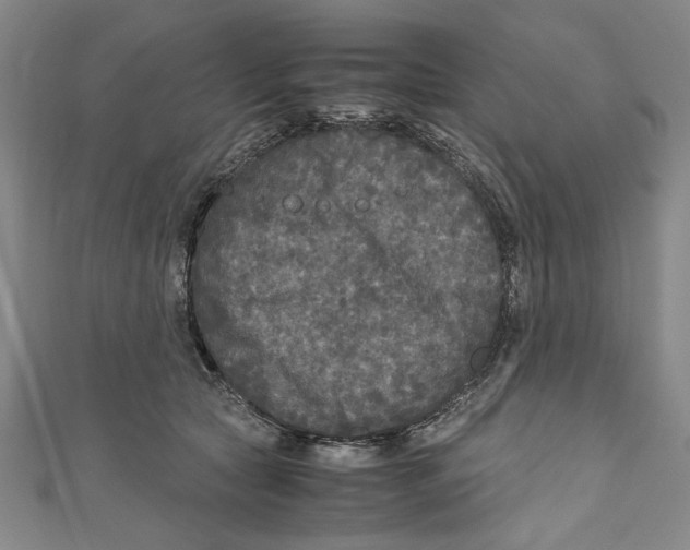 X0000110950561200907171631