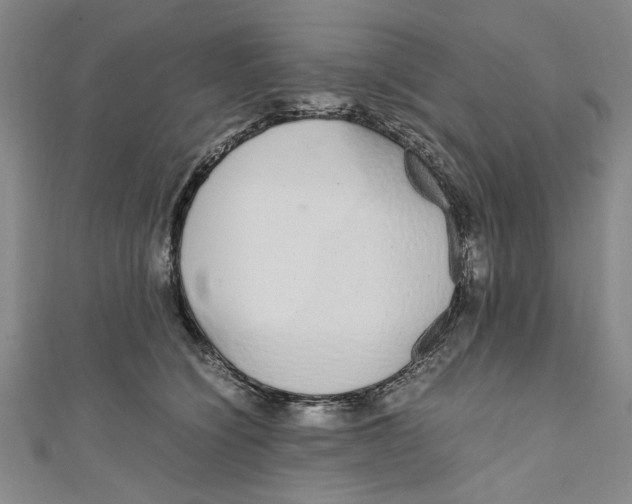 X0000110950564200907171631