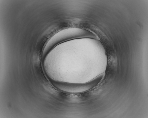 X0000110950566200907171631
