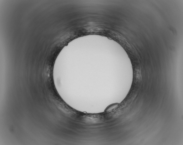 X0000110950567200907171631