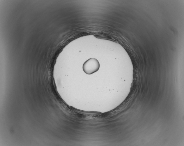 X0000110950568200907171631