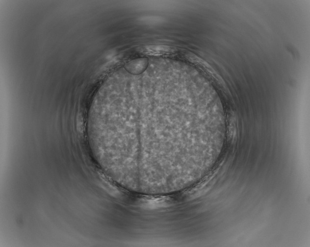 X0000110950569200907171631