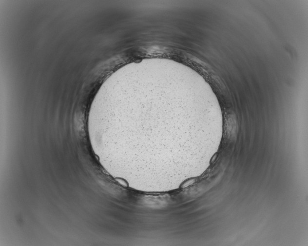 X0000110950571200907171631