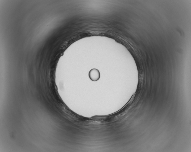 X0000110950572200907171631