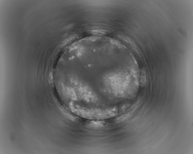X0000110950573200907171631