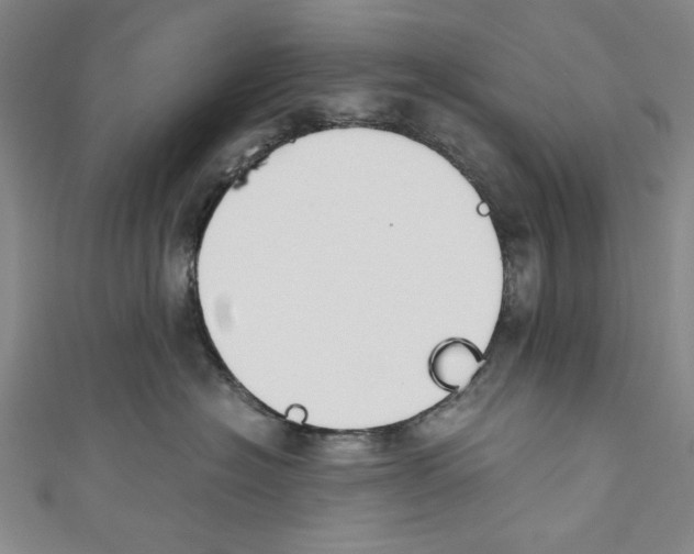X0000110950574200907171631
