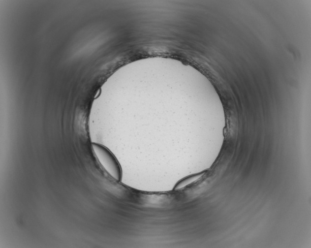 X0000110950575200907171631