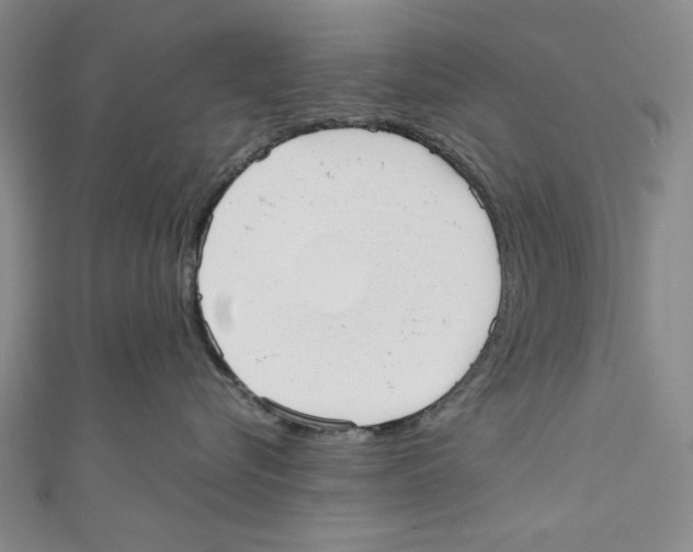 X0000110950576200907171631
